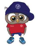 PE Owls_2019-03